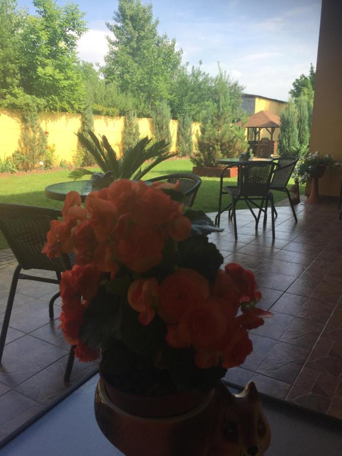 Sunrise Boutique Hotel Beregszász Kültér fotó