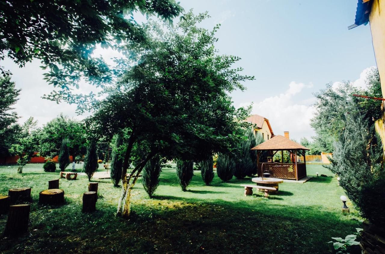 Sunrise Boutique Hotel Beregszász Kültér fotó