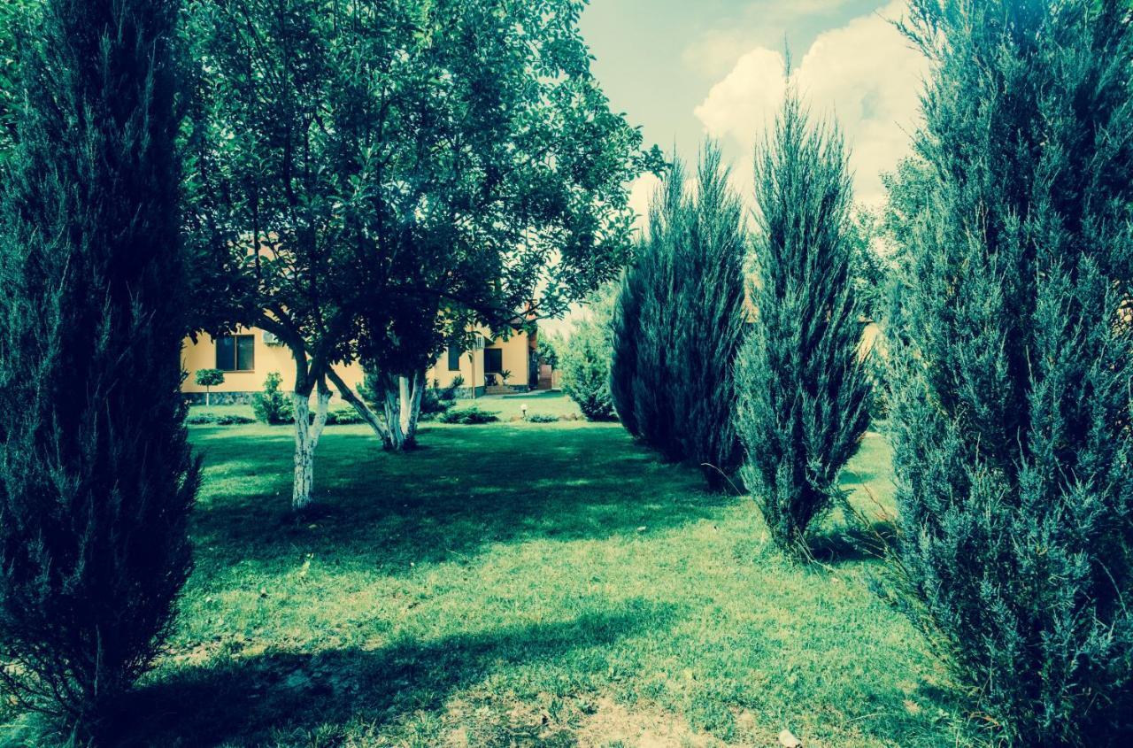 Sunrise Boutique Hotel Beregszász Kültér fotó